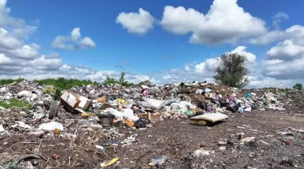 Гроб на обочине: как жители ВКО борются со стихийными свалками?