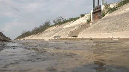 Түркістан облысының шаруалары ағын су мәселесі биыл да шешілмесе шығынға батамыз деп уайымдайды