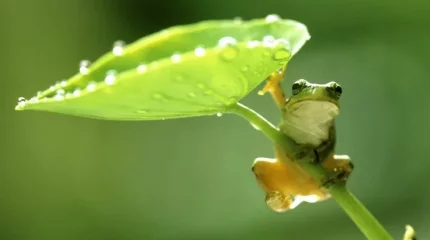 Гроза обрушится на один из мегаполисов Казахстана в пятницу, 30 мая