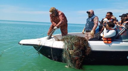 445 браконьерге 10,9 млн теңге айыппұл салынды