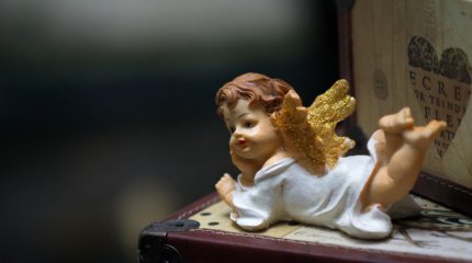 Близнецы знакомят - Львы знакомятся: воскресный гороскоп на 4 мая