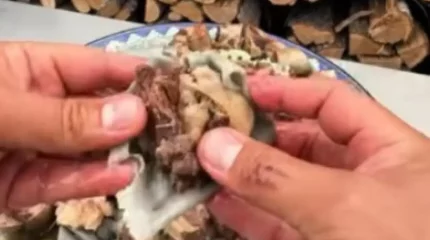 «Тойынып, құтырғандық па»: етке дәрі қосқан блогердің әрекеті қызу талқыланып жатыр