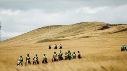 В Алматинской области пройдёт Международный марафон-байге «Ұлы дала жорығы».