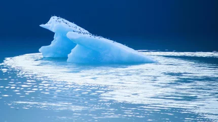 40 жылдан кейін Жер бетінде мұз дәуірі қайта басталуы мүмкін