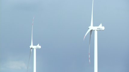 Казахстан и ОАЭ построят ветряную электростанцию в Жамбылской области