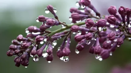 Грозы прогремят во всех мегаполисах Казахстана 9 мая