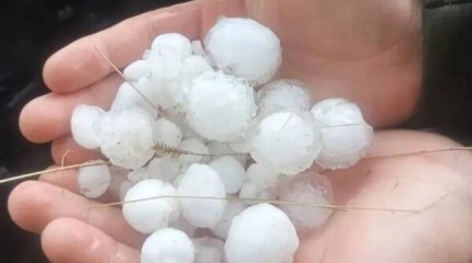 Крупный град перебил коров в Оренбургской области