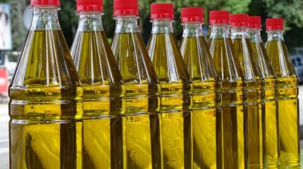 2025 жылы өсімдік майы өндірісі 239,6 мың тоннаны құрады