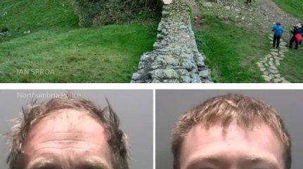 Двое подсудимых на севере Англии признаны виновными в том, что спилили дерево из фильма «Робин Гуд»