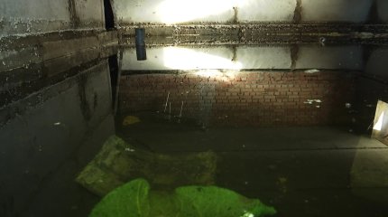 Зловонный запах и сырость: жители дома в Петропавловске страдают из-за заполненных нечистотами подвалов