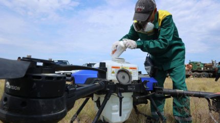 Нашествие саранчи прокомментировали в Министерстве сельского хозяйства