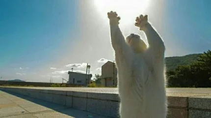 Дожди и иранская жара: о погоде на выходные рассказали синоптики