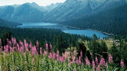 Экосбор и лимит на туристов предлагают ввести в Катон-Карагае