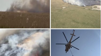 Гигантский пожар в 600 гектаров тушат в заповеднике под Атырау