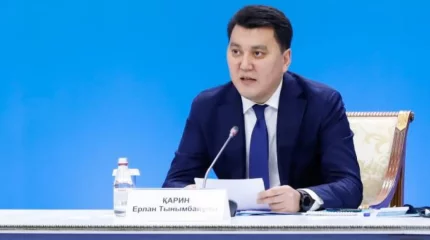Ерлан Қарин: Ұлттық құрылтай – бірегей идеялар мен стратегиялық қадамдар ұсынатын ең басты институт