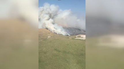 Атырауда ерекше қорғалатын «Ақ Жайық»  резерватына әдейі өрт қойған