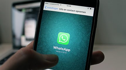 Житель Шымкента осужден за пропаганду терроризма через WhatsApp