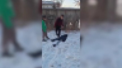 Родительских прав лишили матерей двух подростков, избивших шестиклассника в Семее