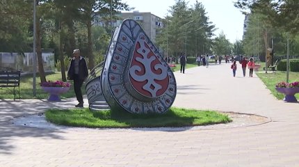 Қостанайда мысық тістеген әйел құтырмадан көз жұмды