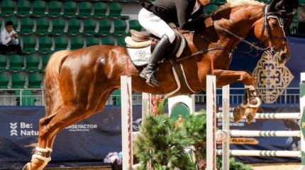 В Астане пройдет Кубок Казахстана по конкуру