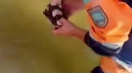 Баланың аяғына арматура кіріп кетті