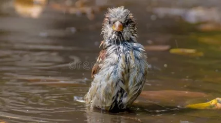 Грозы в Астане и Шымкенте, жара в Алматы: погода в мегаполисах в четверг, 19 июня