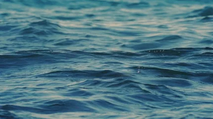 Ақтаулық оқушылар теңізде қолданылатын құрылғы жасады