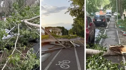Павлодар облысында дауылдан бір адам қаза тауып, 16 адам зардап шекті