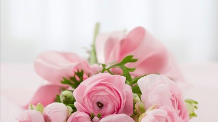 ПИОНЫ: СИМВОЛЫ ЛЕТА, ИЗЫСКАННОСТИ И ТОНКОГО ВКУСА