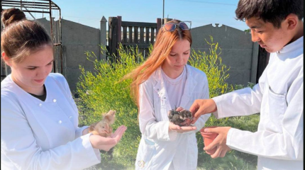 Павлодарские студенты разводят редкие породы птиц