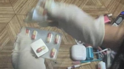 Құрамында есірткі бар 6 мың таблетка тәркіленді