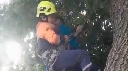 Спасатели сняли с дерева ребёнка в Кокшетау