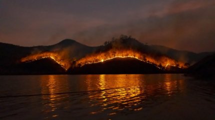 Лесные пожары бушуют на побережье Хорватии