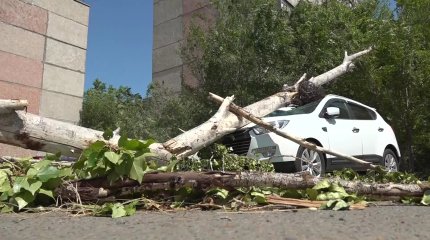 Павлодар облысында төтенше жағдай жариялануы мүмкін
