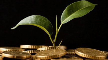 АӨК 13,7% өсімін көрсетті: рекордтық өнім және инвестициялардың өсуі тіркелді