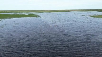 Жамбыл облысының алыс ауылындағы су арналары толды