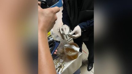 Түрмеге марихуана кіргізбек болды