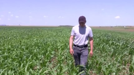 Павлодар облысында ауыл шаруашылығы саласында мамандар тапшы