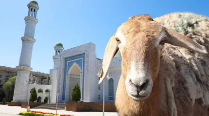 Астанада құрбандық шалатын орындар белгіленді