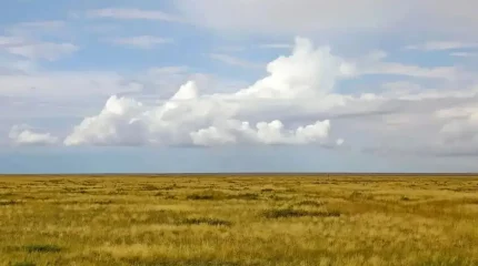 Жер учаскесін жалға алу мерзімін ұзарту ережесі өзгертілді