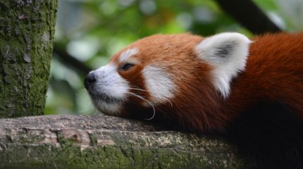 Сильная жара, дожди и град прогнозируют синоптики в ближайшие дни