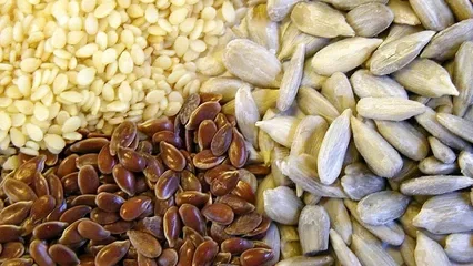 Семечек и зерна на 34 миллиона тенге украли в Петропавловске