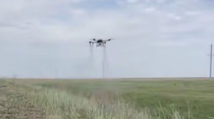 Саранчу травят с дронов в Костанайской области