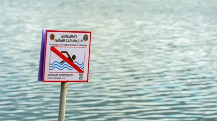 ШҚО-да судағы қауіпсіздік шараларын сақтамаған 3 адам әкімшілік жауапкершілікке тартылды