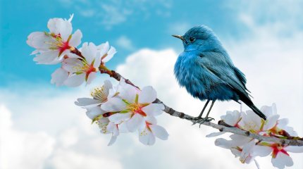 Летний баланс: тепло, солнце и лёгкая облачность - прогноз погоды на 2 июля