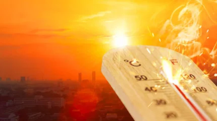 Ертең күн +42°С дейін ысиды