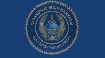 В МВД разъяснили поправки в Закон "О государственном контроле за оборотом отдельных видов оружия"