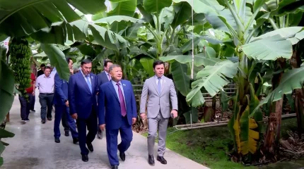 Депутаттар аграрлық сала өкілдерімен кездесті