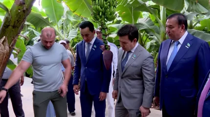 Депутаты фракции "AMANAT" встретились с представителями сельского хозяйства