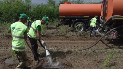 Сенаторлар "Жасыл белдеу" жұмысымен танысты